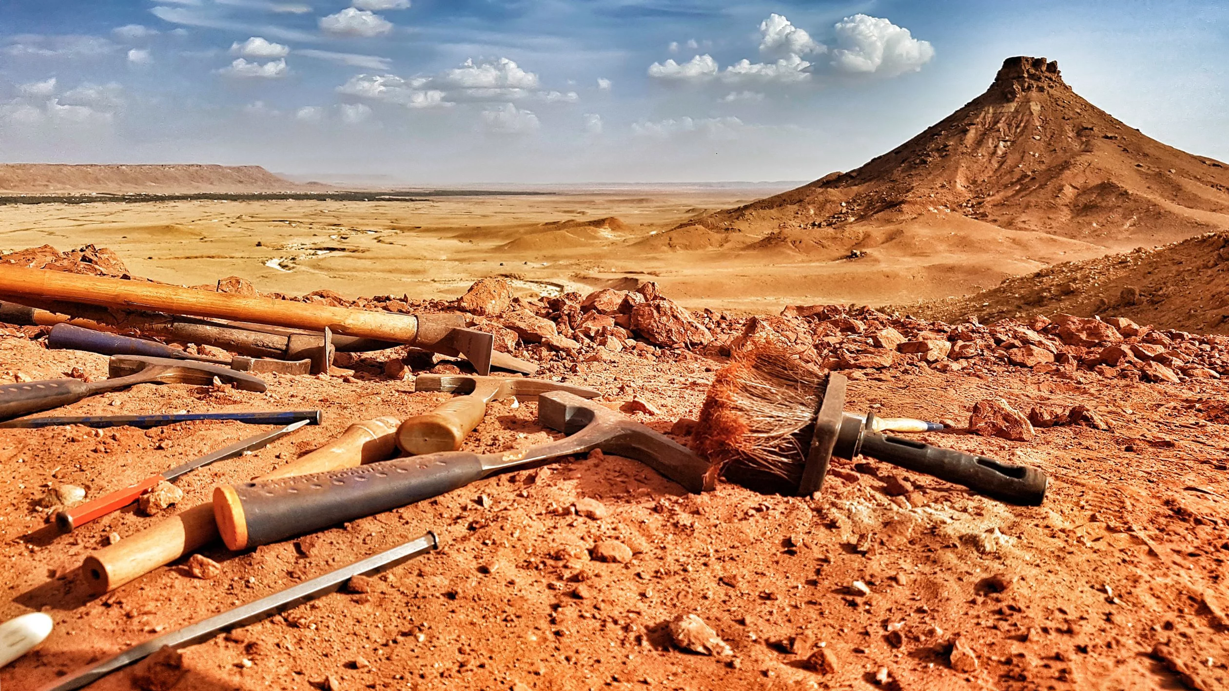 A view of the Sahara Desert, from the site where the Spinosaurus was exacavated