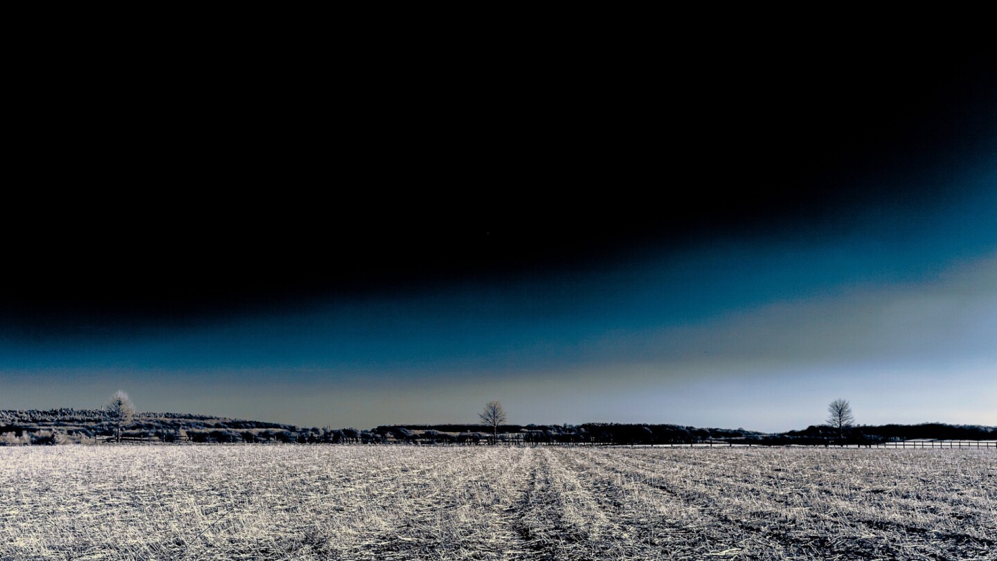 Gallery The surreal and psychedelic art of infrared photography