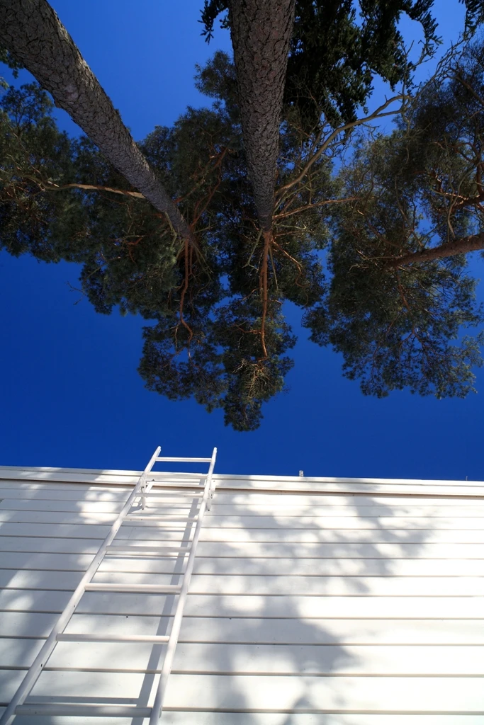 The house is also equipped with a couple of internal and external ladders