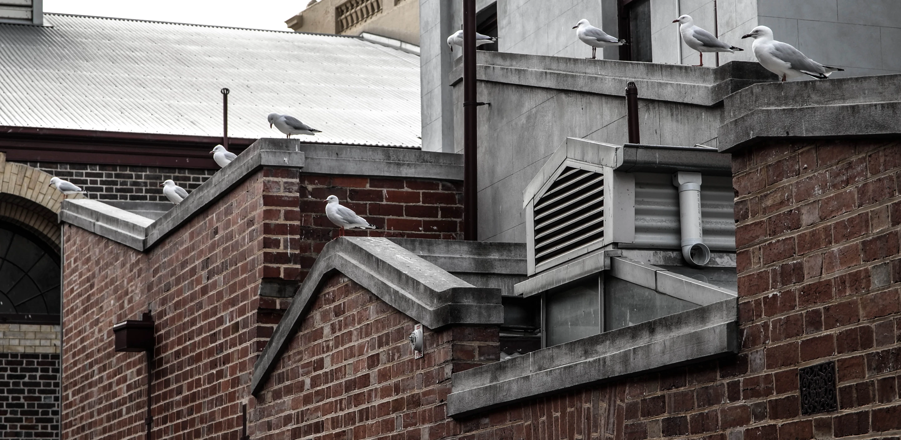 Leica T test image - Victoria Market (Photo: Loz Blain/Gizmag)
