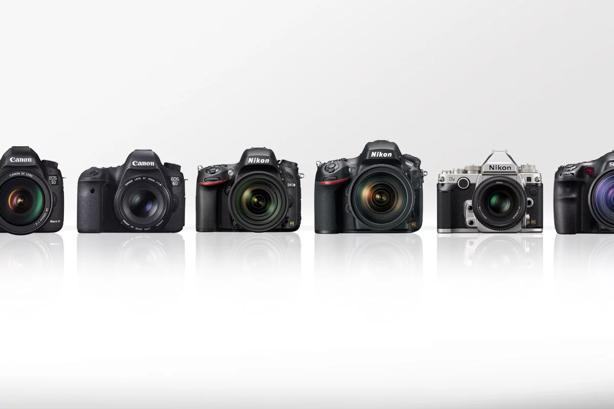 Gizmag compares some of the best high-end DSLRs on the market