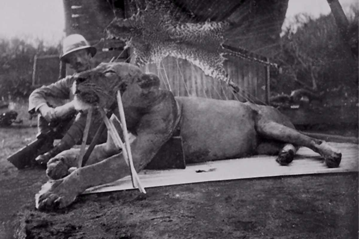Colonel John Patterson, who shot the two Tsavo man-eaters and wrote a book about them, posing with one of the lions