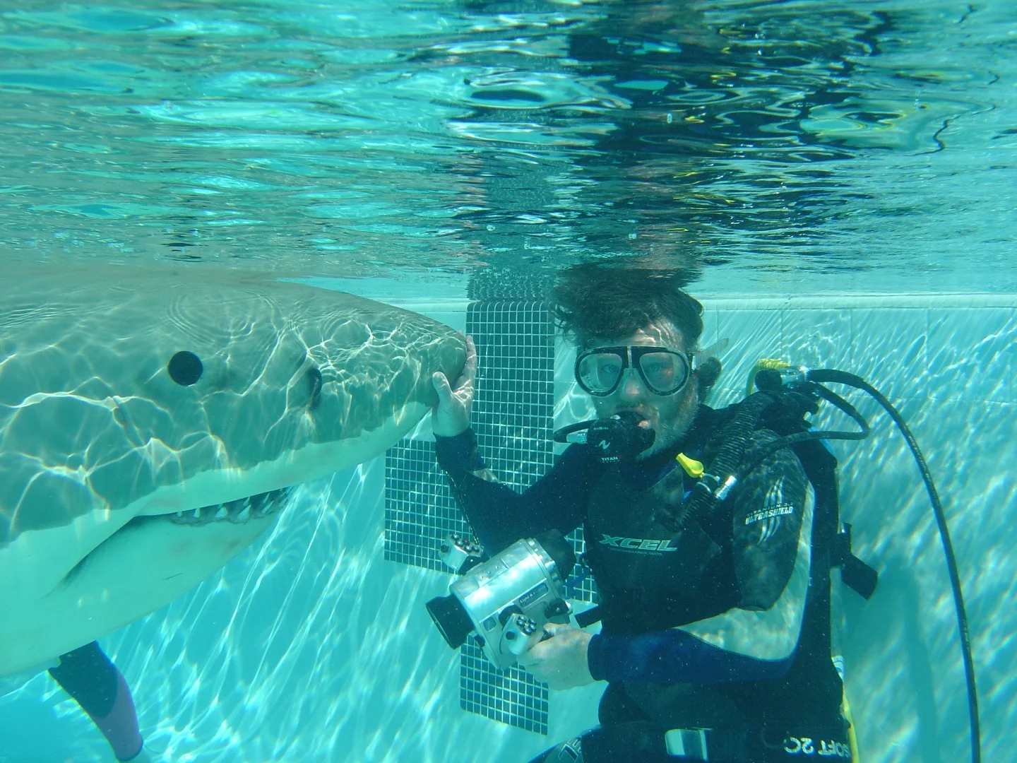 Underwater screen test time for a mechanical shark