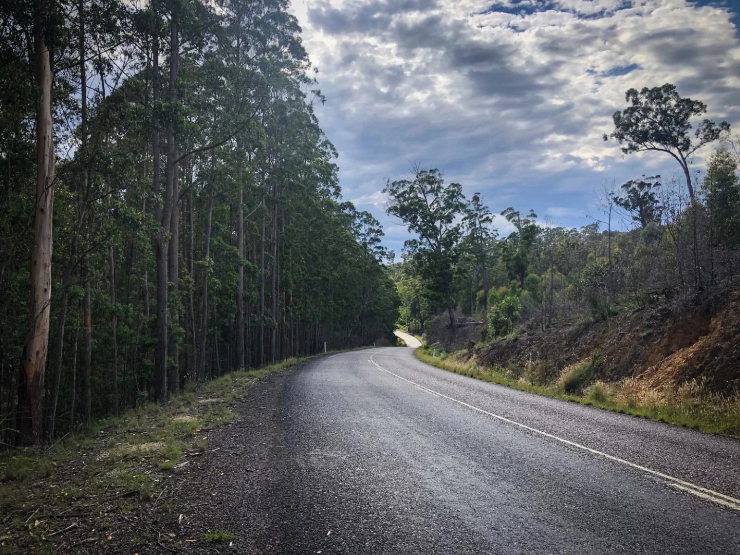 Imlay Road, welcome bitumen after 24 hours on gravel and dirt