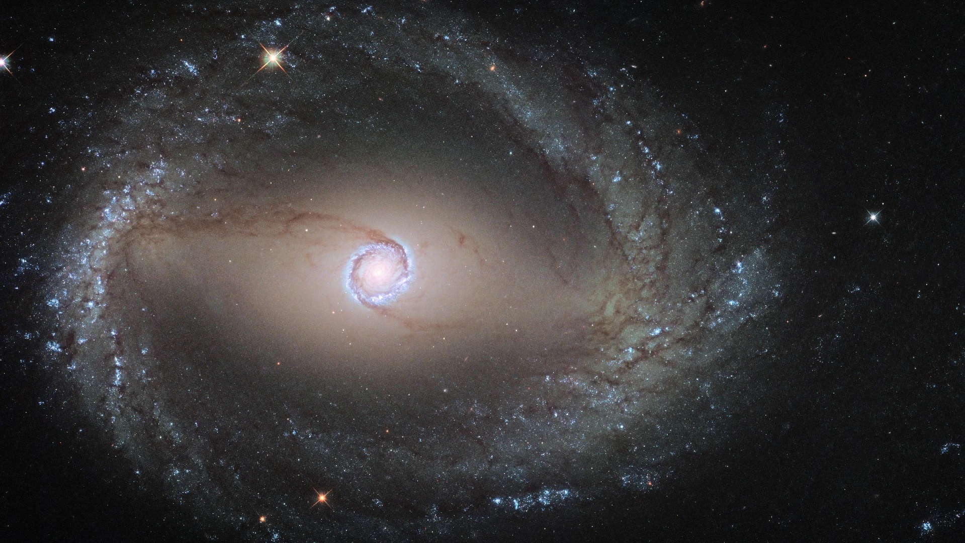 Hubble image of the barred spiral galaxy NGC 1512