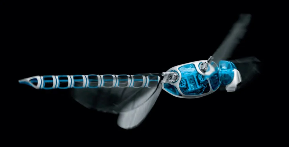 From tip to tail, the robot dragonfly measures 44 cm long