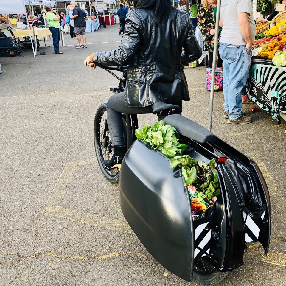The Model 1's suspension auto adjusts to rider/cargo weight