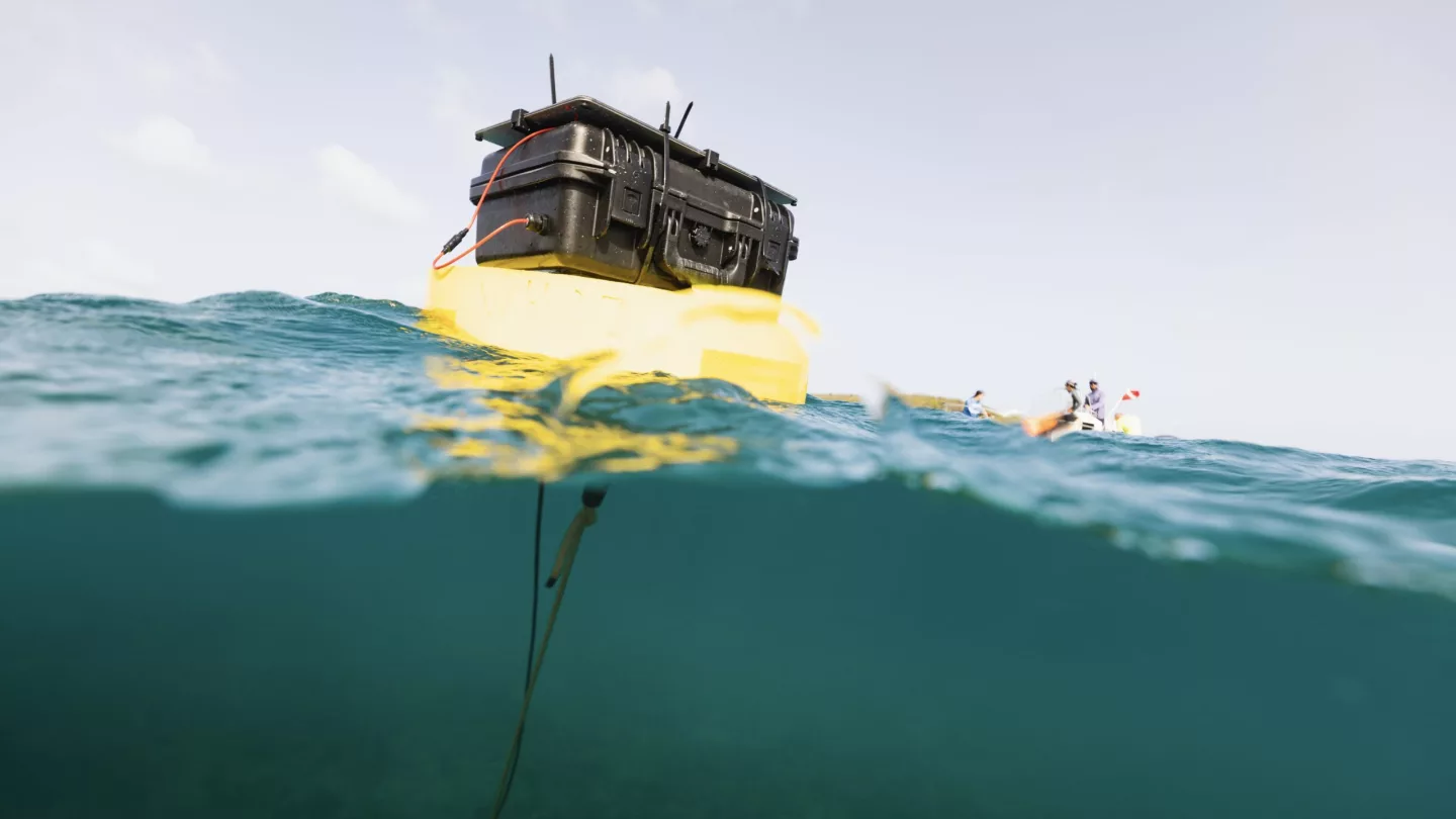 The anchored floating components of one of the underwater speaker systems