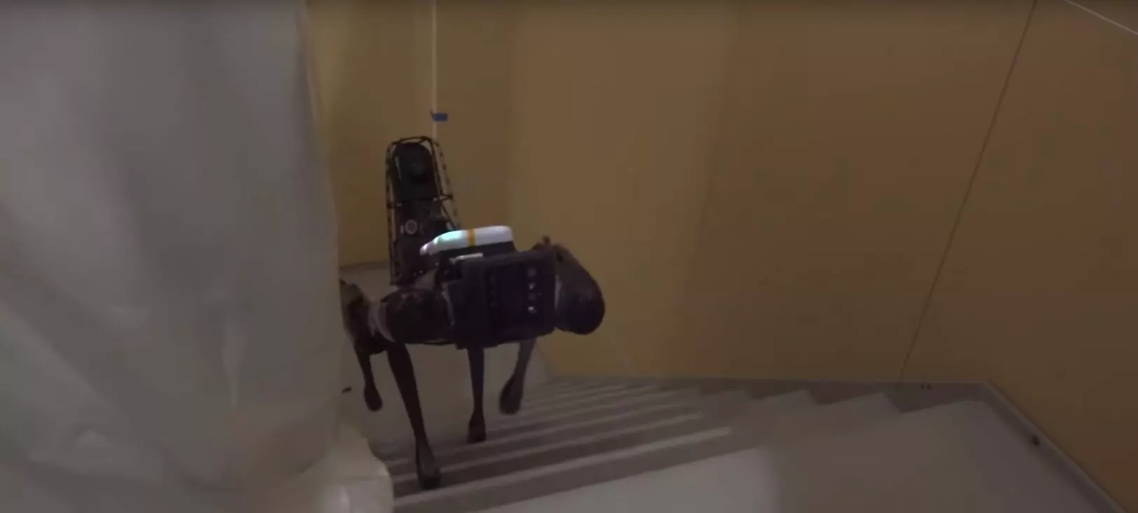 Spot descending stairs