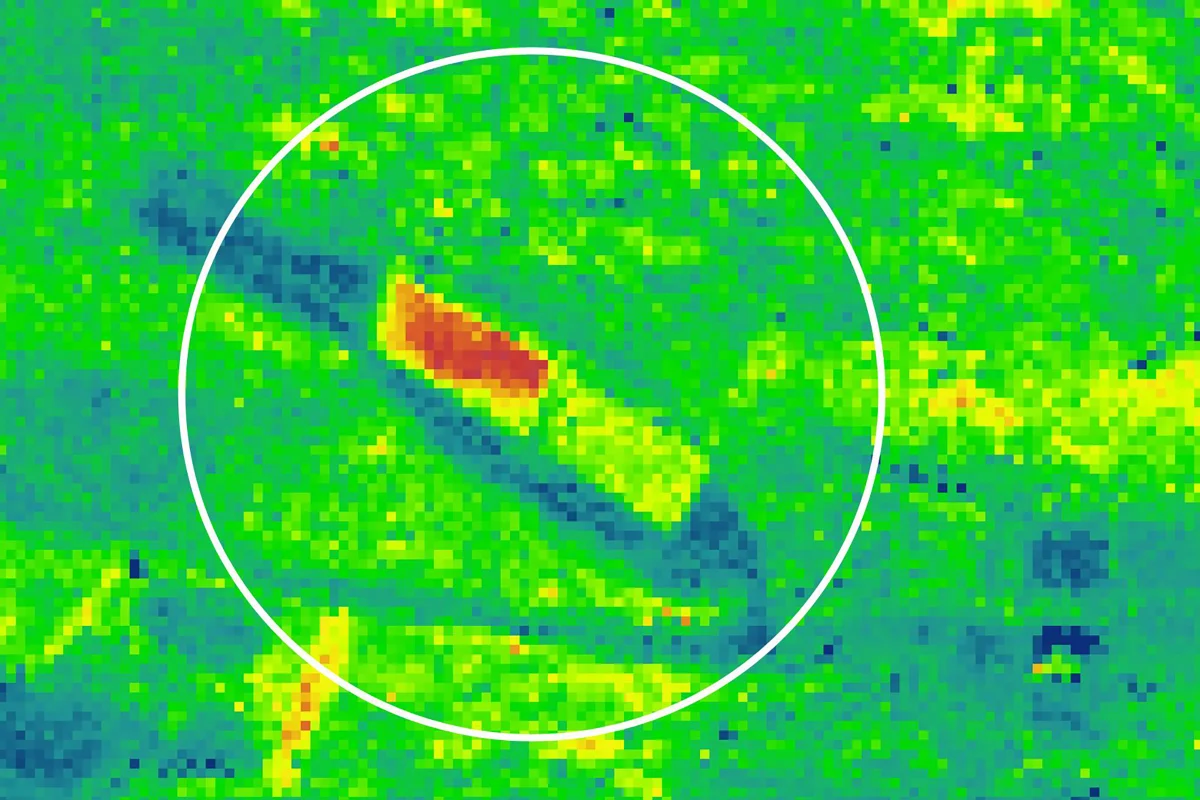FLEX aims to detect abnormal peaks of florescence from space, providing warnings of stress in plants (Image: University of Milano-Bicocca)