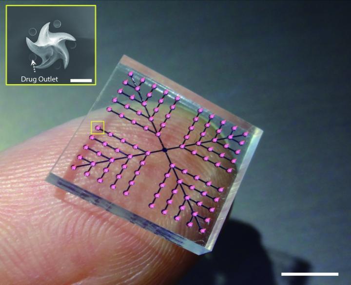 The patch incorporates fang-inspired microneedles combined with microchannels filled with liquid medication