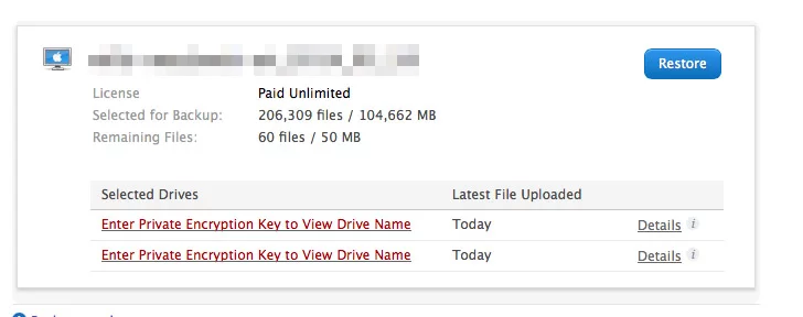 You can browse and download individual files from your backups at the company's website
