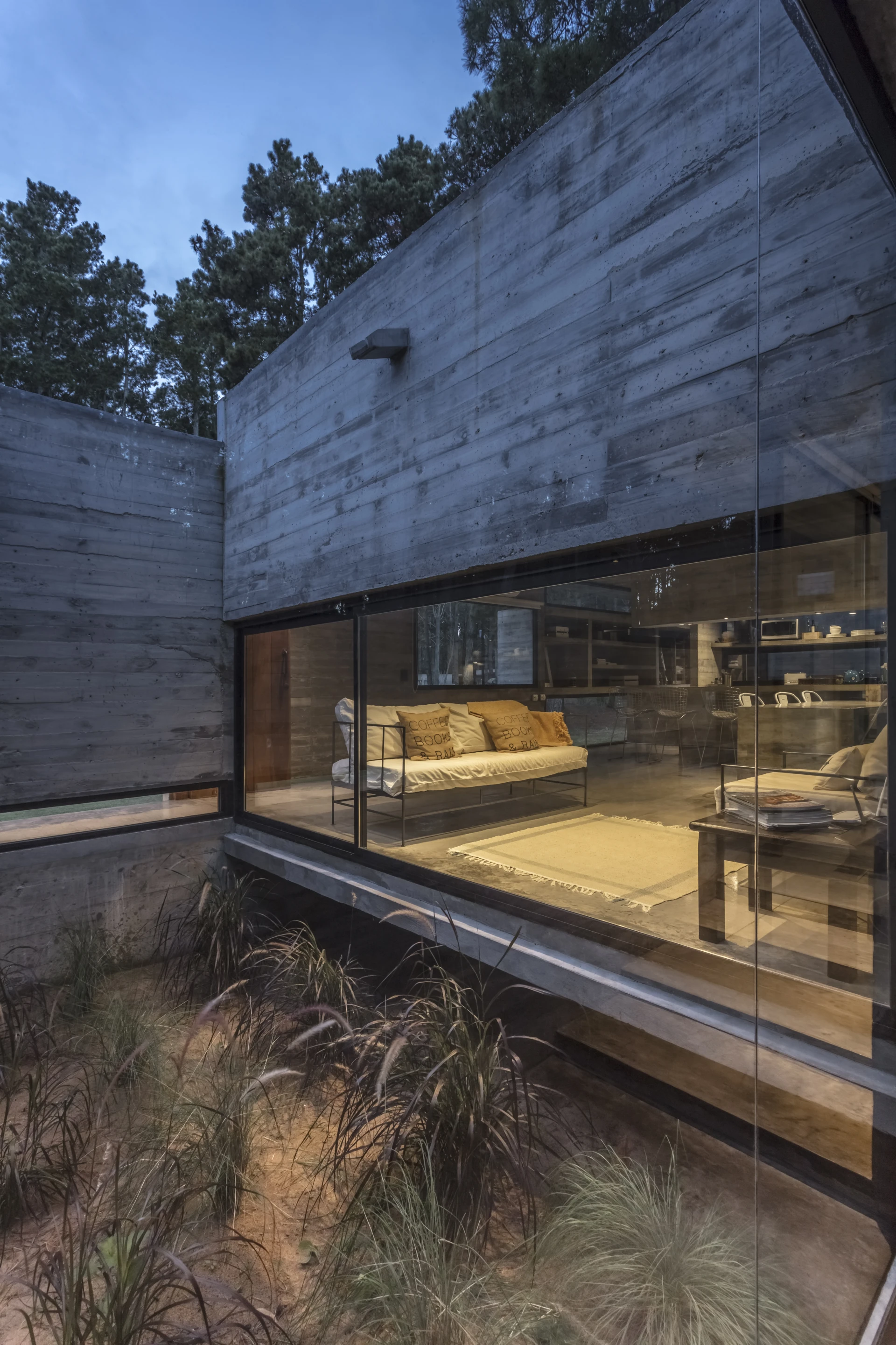Small landscaped courtyards throughout the Forest House invite light and vegetation into the interior