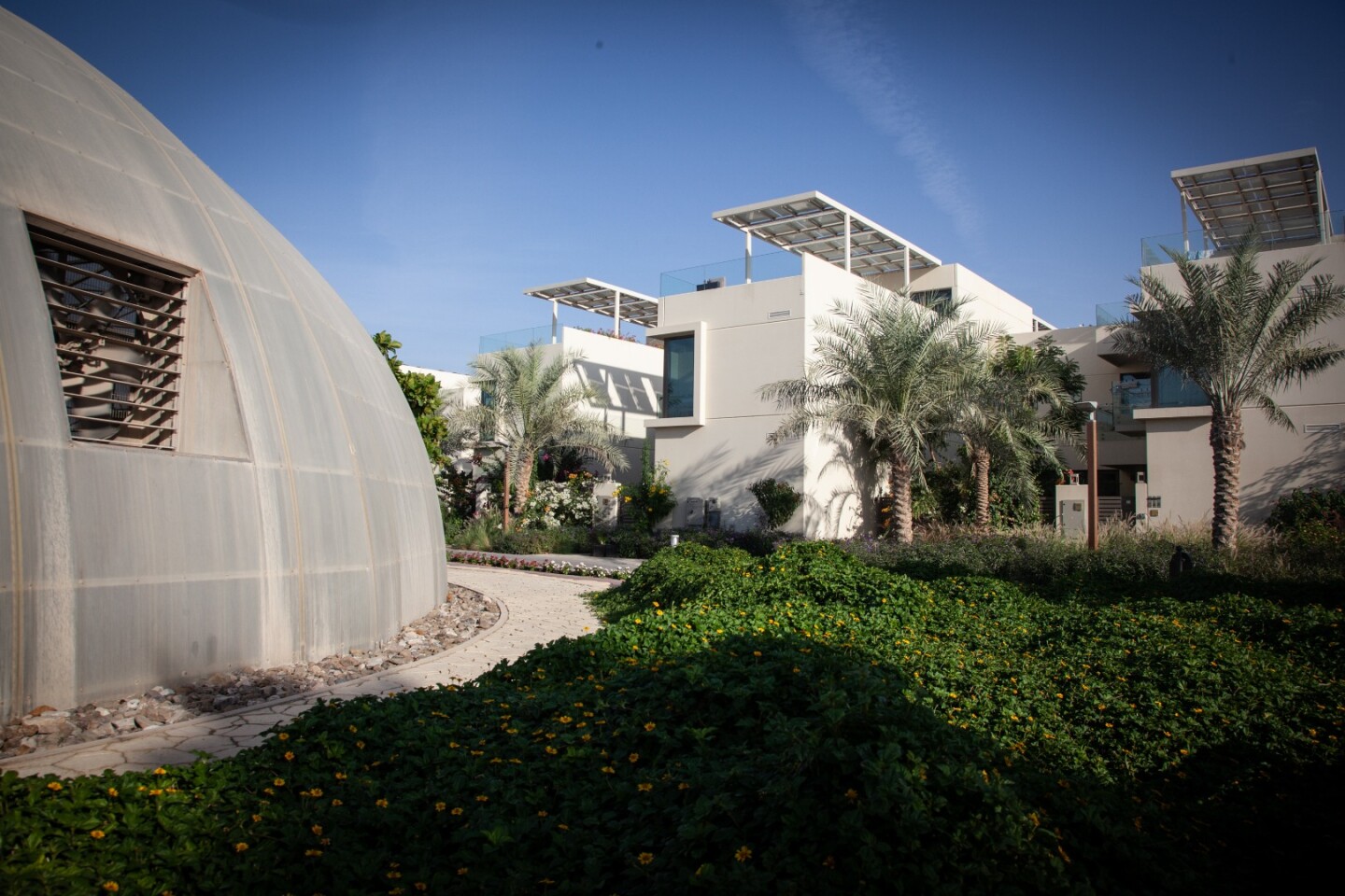 The Dubai Sustainable City features 111 biodomes, which serve as greenhouses for urban farming