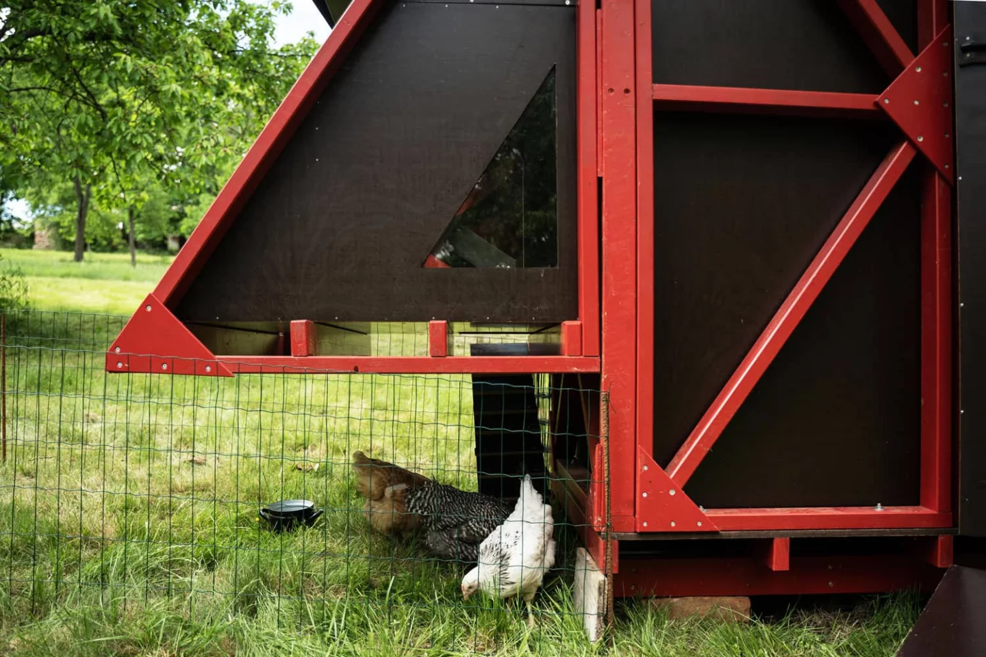 The Gardenrobe includes a chicken coop
