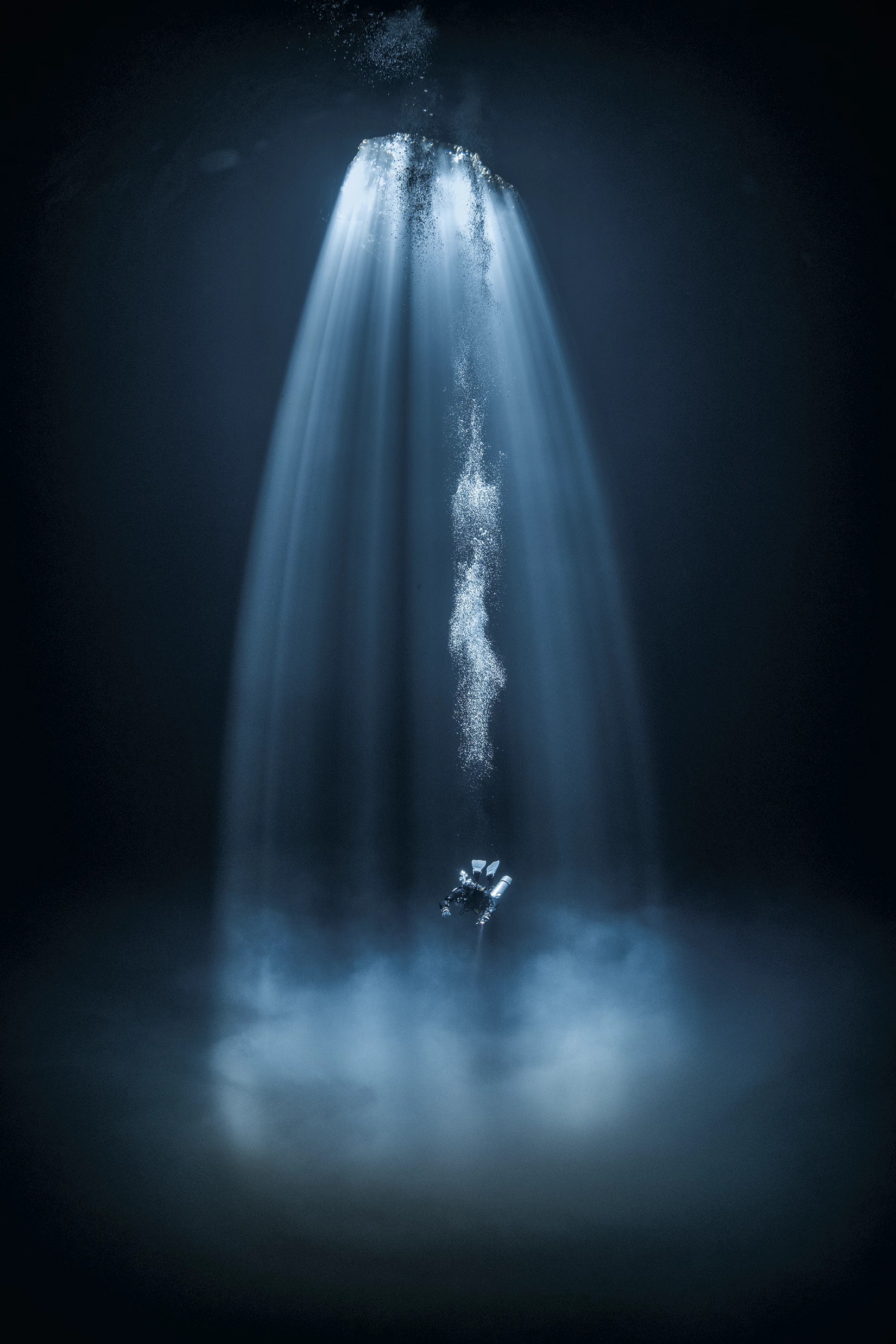 Winner - Wide-Angle. Puerto Morelos, Mexico. Diving into a cenote in Mexico