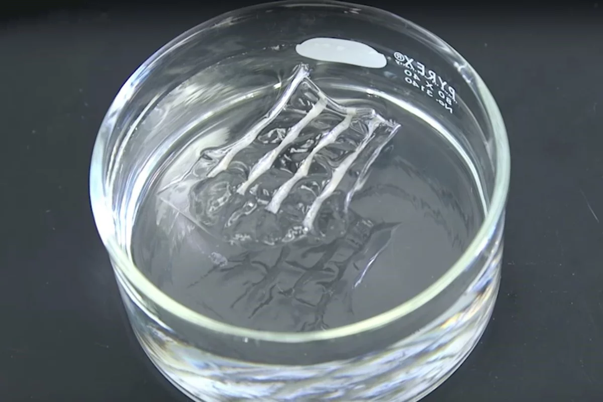 The polymer nanowires dissolve in water as they cool