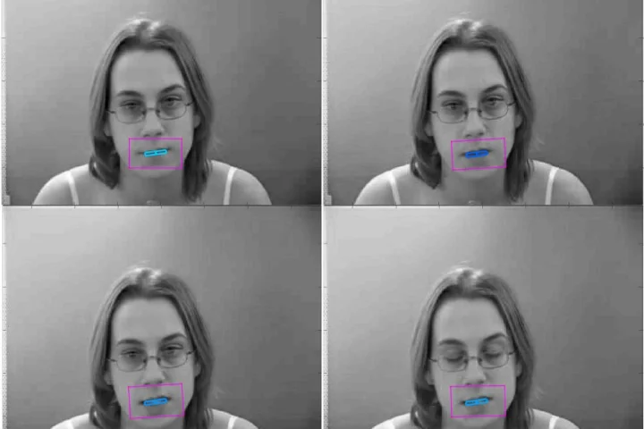 The scientists have already developed a 3D mouth-tracking algorithm