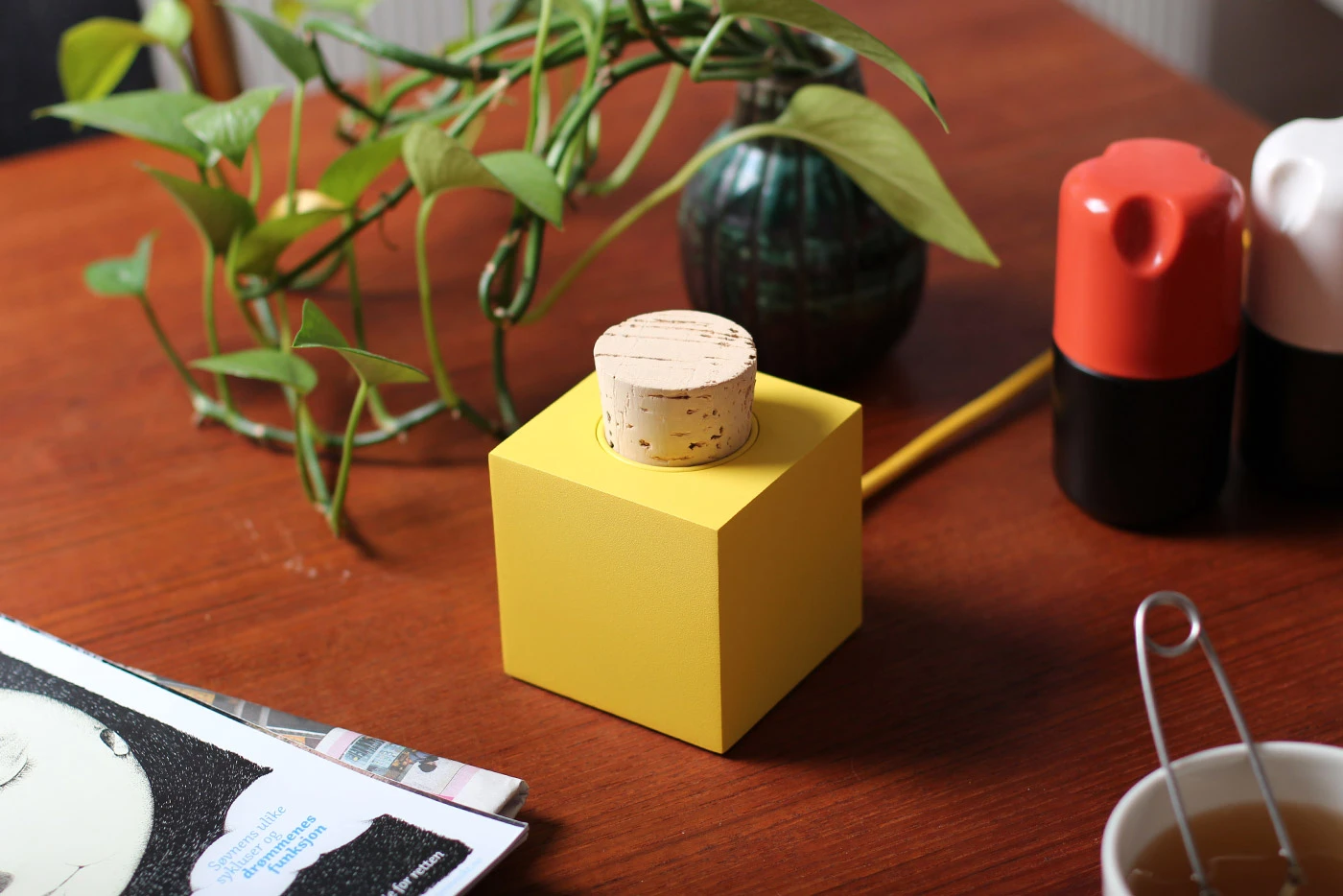 Plugg was created by Norwegian design duo Theo Tveterås and Lars Marcus Vedeler (Photo: Skrekkøgle)
