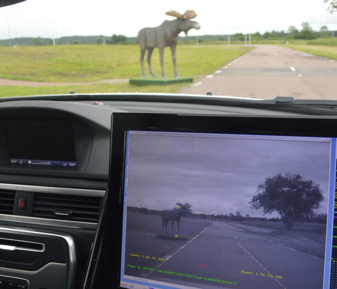 Volvo's animal-detection system in operation (Photo: Gizmag)