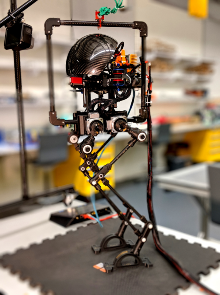 LEONARDO the robot can walk and fly