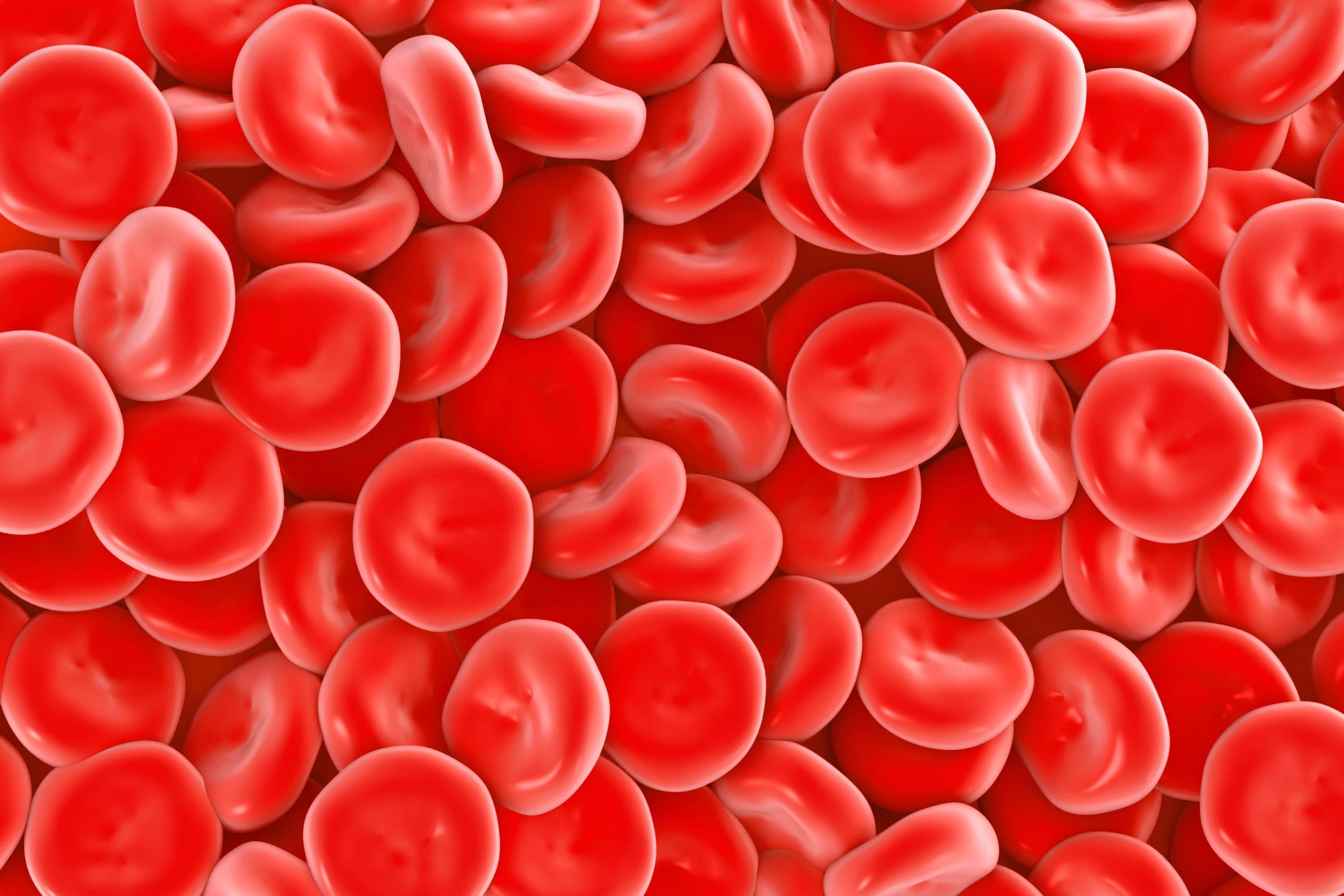 In the not-too-distant future, blood made with lab-grown red blood cells could be readily available for use in transfusions (Image: Shutterstock)