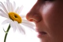 The neuroimaging study found our olfactory sense has a unique direct connection to the hippocampus, unlike all other senses