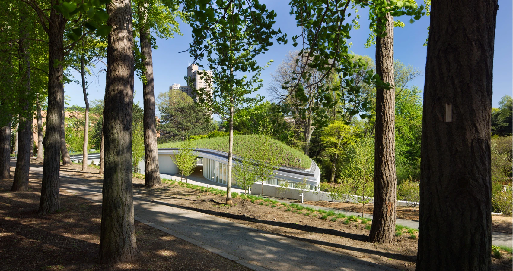 Designed by the New York based architectural firm Weiss/Manfredi, the Visitor Center merges modern architecture with a landscape teeming with plant life