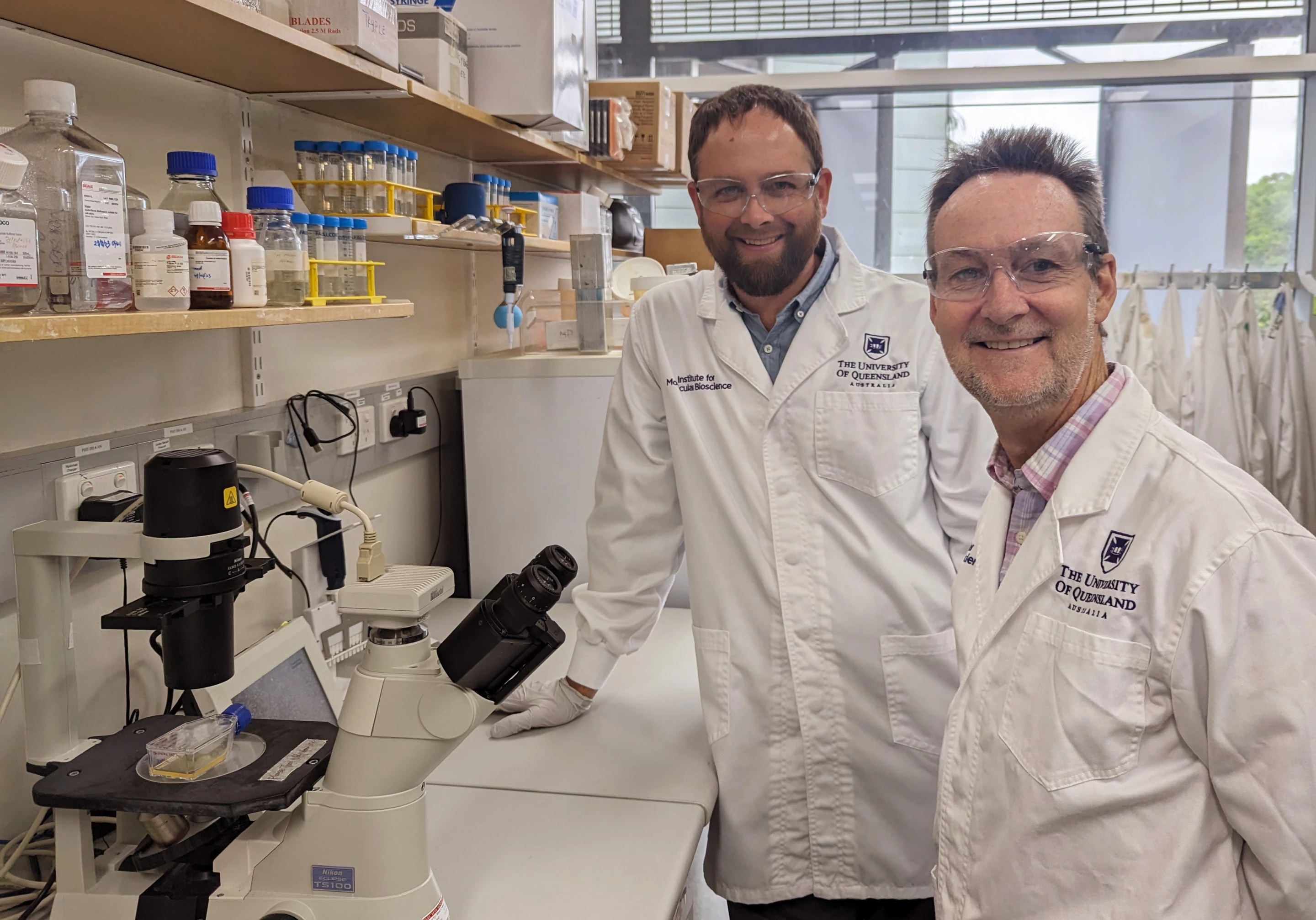 Nathan Palpant and Glenn King with heart cells under a microscope