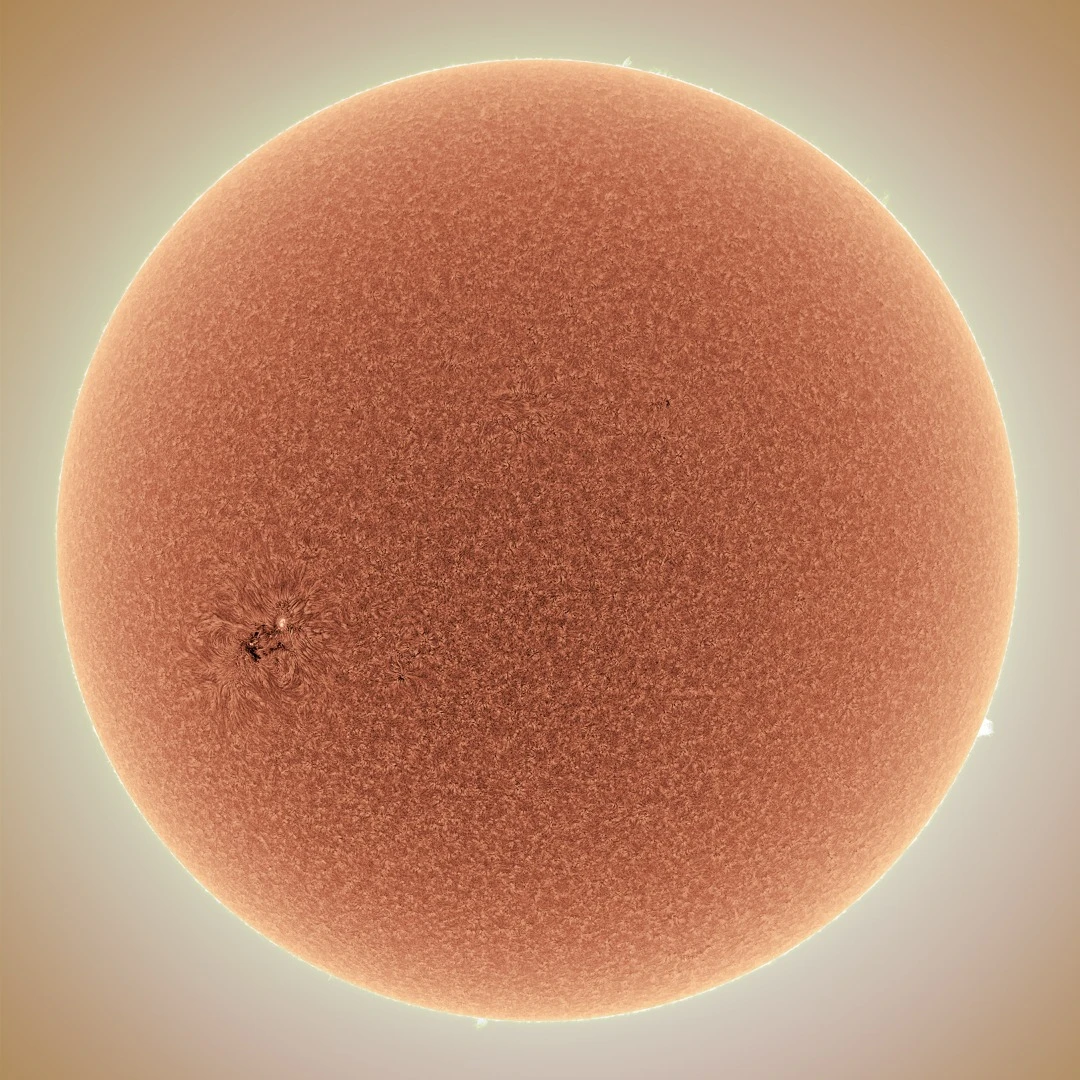 A full disk solar portrait captured close to solar minimum showing a placid chromosphere disturbed by a single active region 2706. The tonality of the chromosphere and its features have been inverted in this image, which has been colorized from the original black and white data.Buffalo, New York, USA, 22 April 2018