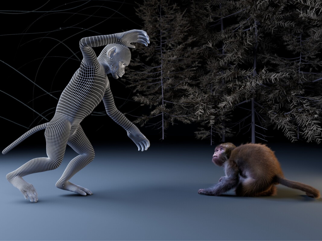 Monkeys get freaked out by the ‘uncanny valley’ too