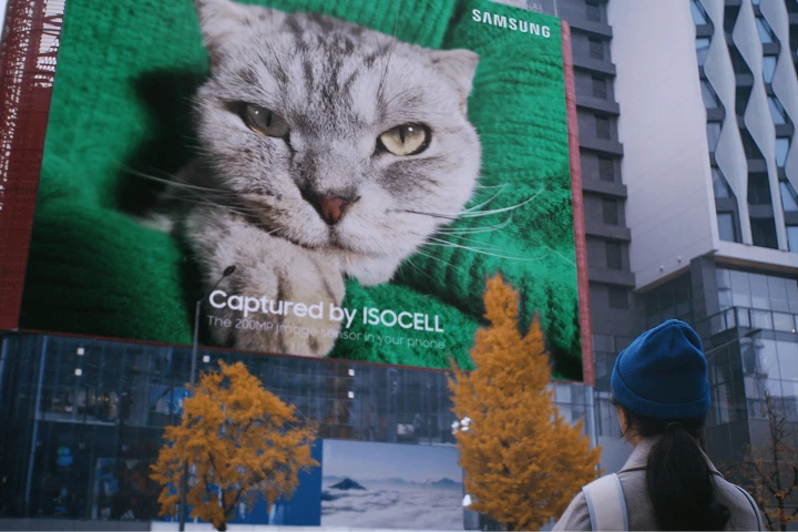 The 200-megapixel cat pic was blown up to 1.5 times the size of a basketball court