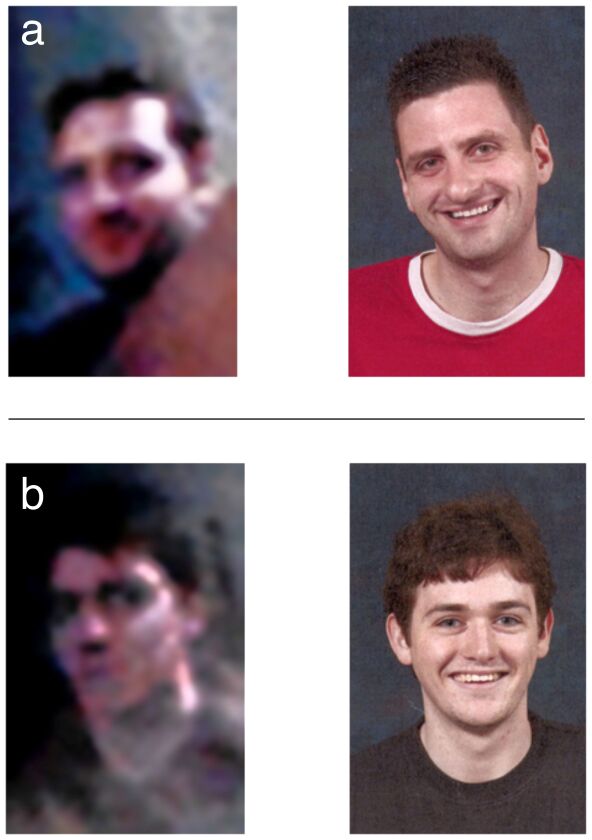 Participants in the study were shown pairs of photographs, one of a corneal reflection, and the other a normal photo. In a) both photos showed the same person, and in b) the two photos showed different people (Photo: University of York)