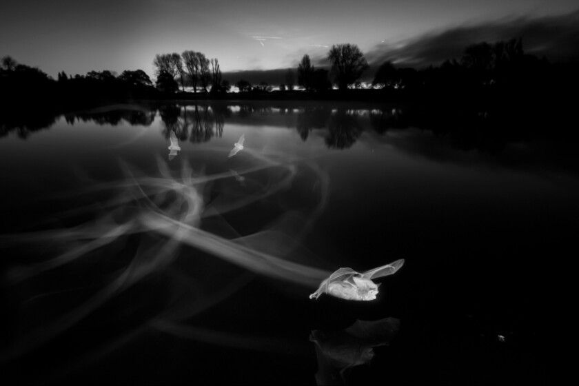The Overall Winning Image – Contrails at Dawn
