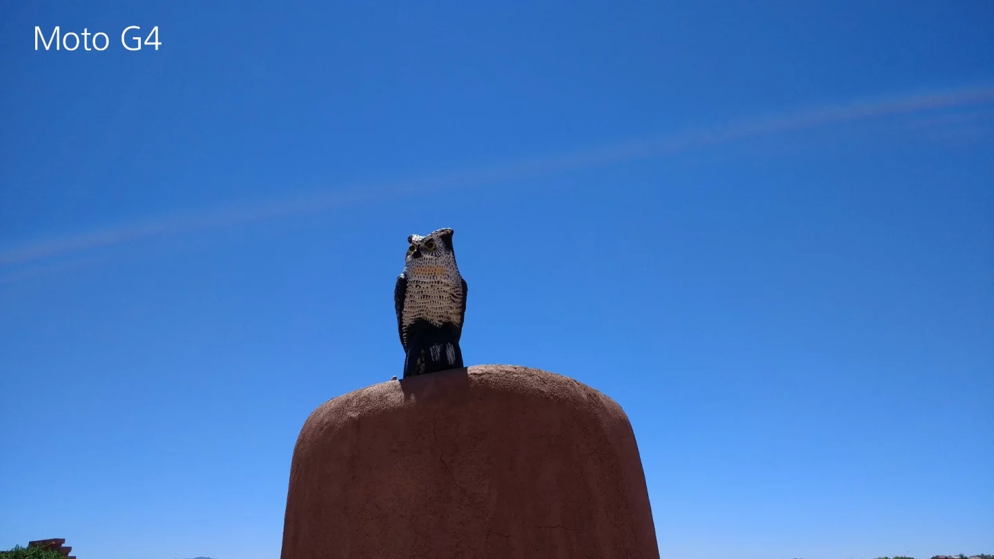 Moto G4 camera sample (outdoors, brightly lit)