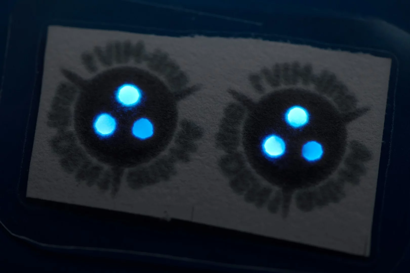 This paper strip contains two copies of the kit – the three glowing dots per test indicate that you can check on three different antibodies at once