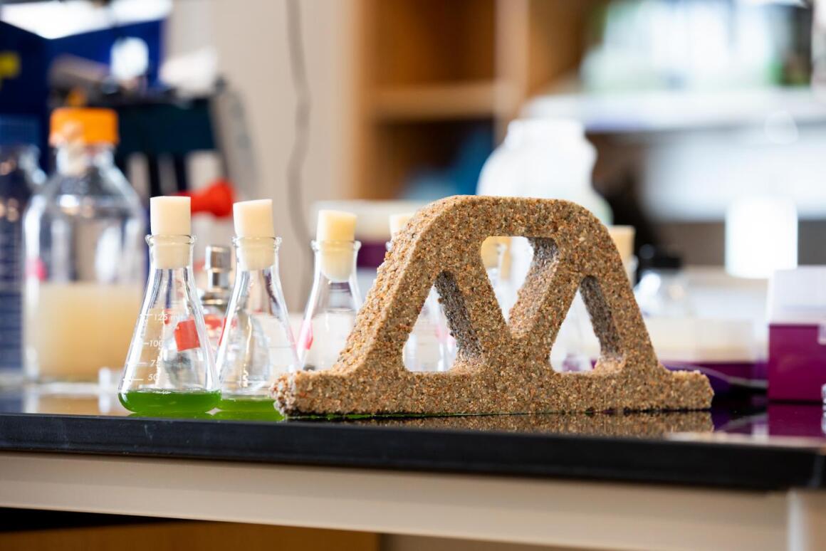 The bricks are made from sand, hydrogel ... and Synechococcus cyanobacteria