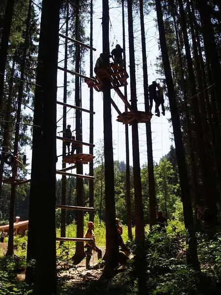 Tree rope course at Waldseilgarten (Photo: Waldseilgarten)