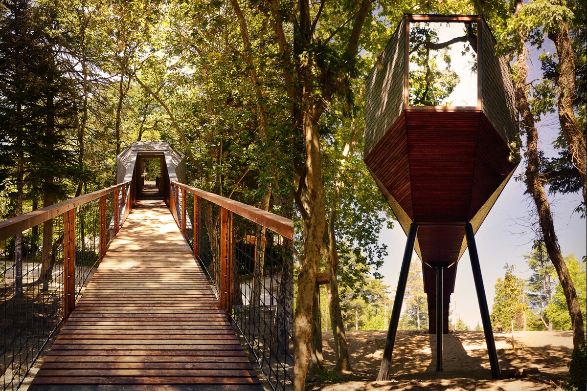 Sustainable 'Tree Snake Houses' completed in Portugal
