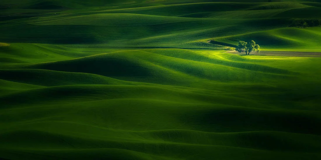 A highlight from the top 50 images in the Open, Nature category