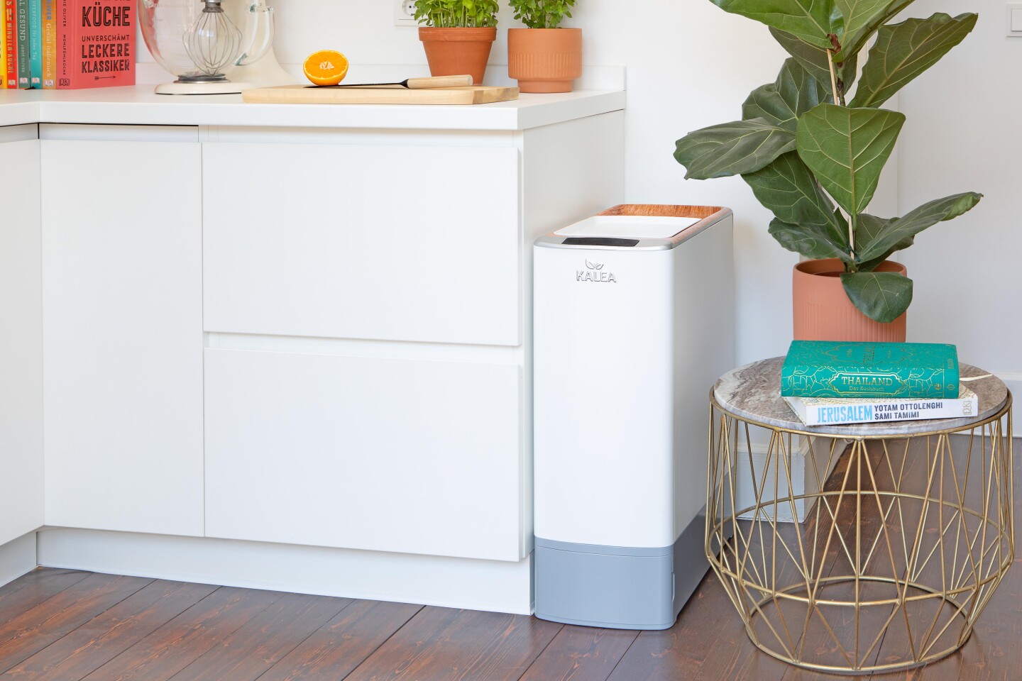 Kitchen Gadget Converts Food Scraps To Compost In A Claimed 48 Hours