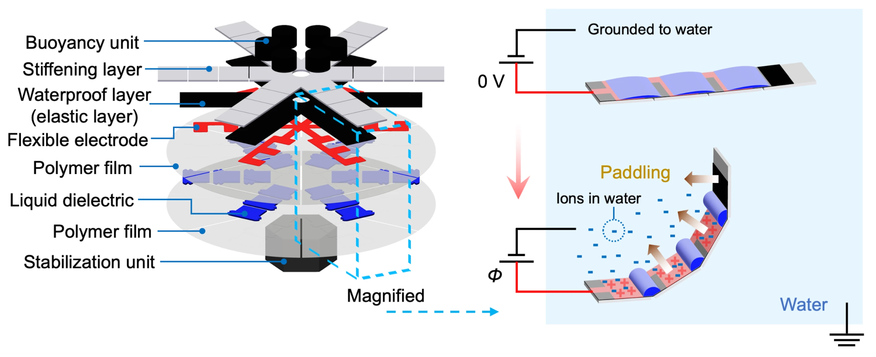 A diagram of the Jellyfish-Bot