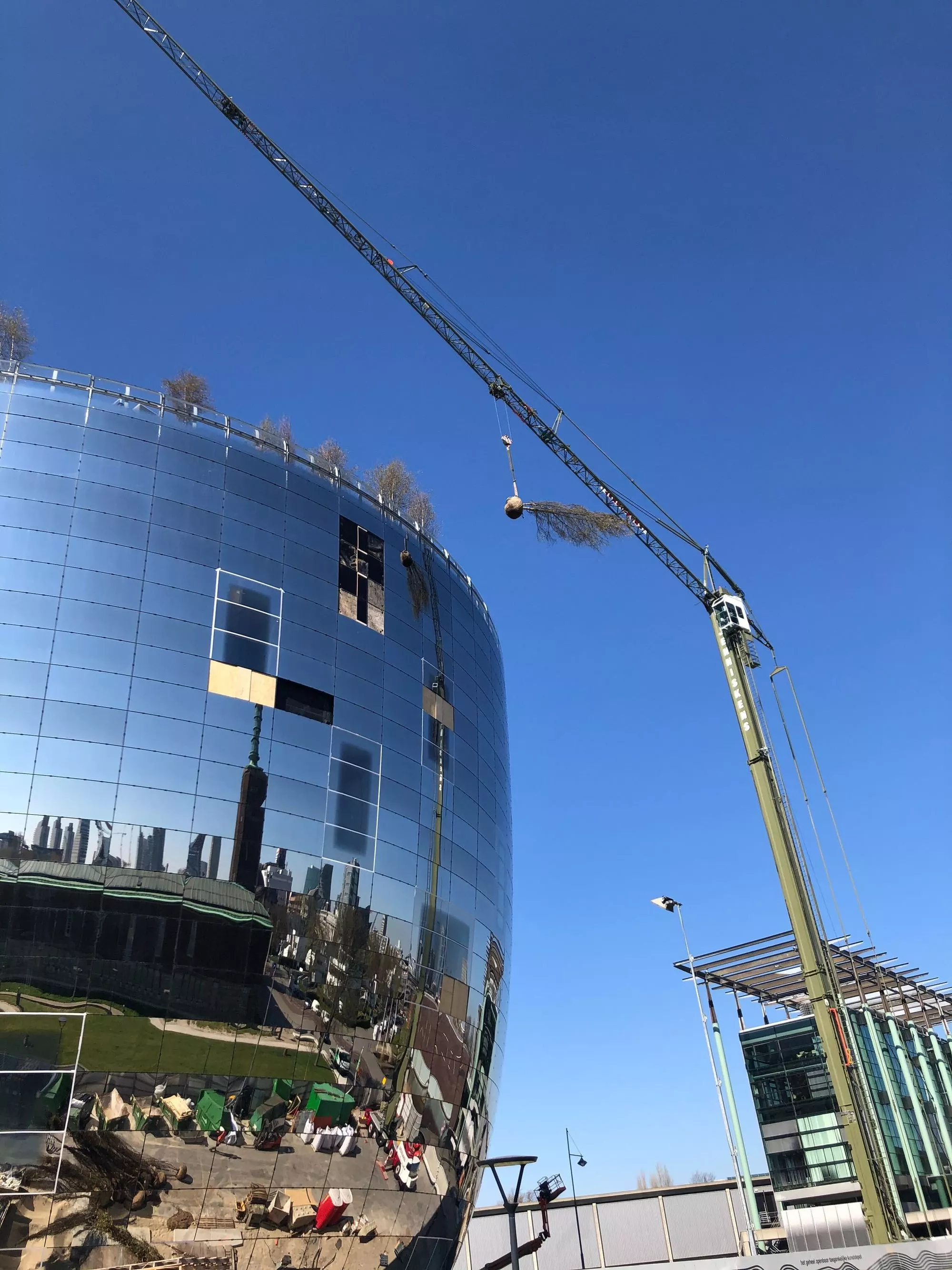Depot Boijmans Van Beuningen's trees were recently put into position by crane and the project is due for completion in September, 2021