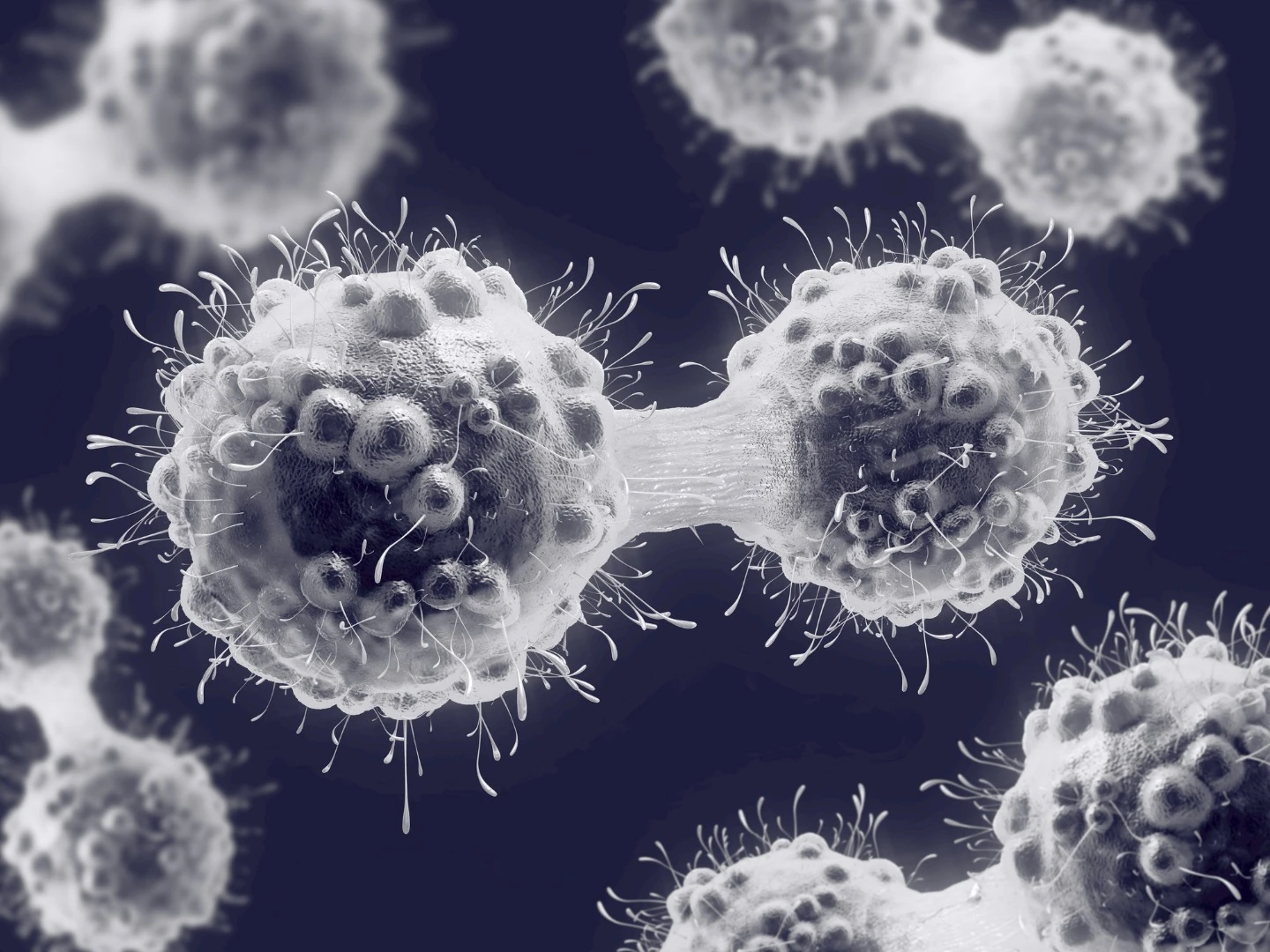 Australian researchers have developed a molecule that could help stop cancer cells from dividing out of control