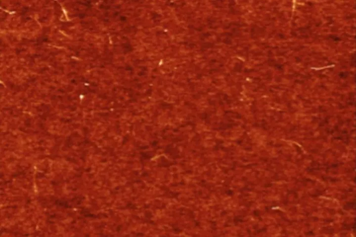 An atomic-force microscope image of a layer of single-walled carbon nanotubes deposited on a silicon surface, which is the first step in manufacturing the new solar cell