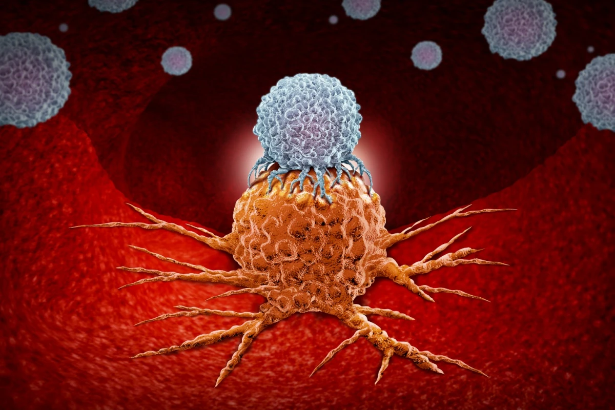 The 2018 Nobel Prize in Physiology or Medicine has been awarded to two scientists instrumental in the development of cancer immunotherapy