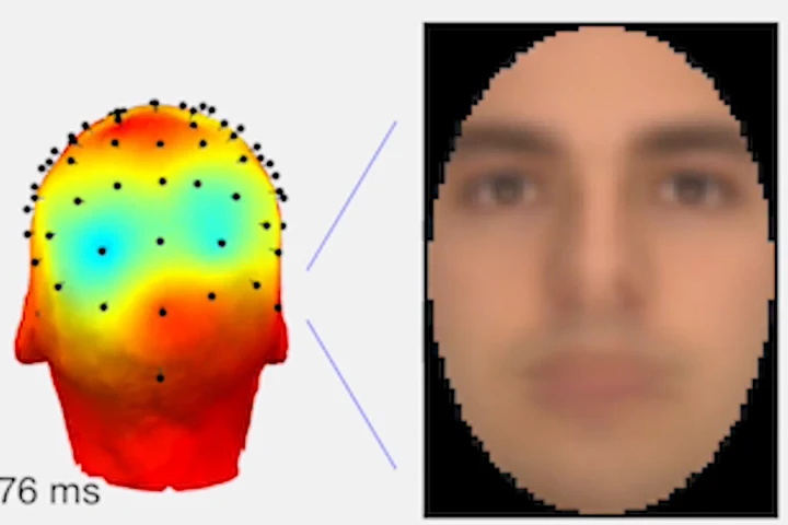 Neuroscientists have developed a system that can digitally recreate images seen through someone's eyes, like faces, from an EEG brain scan