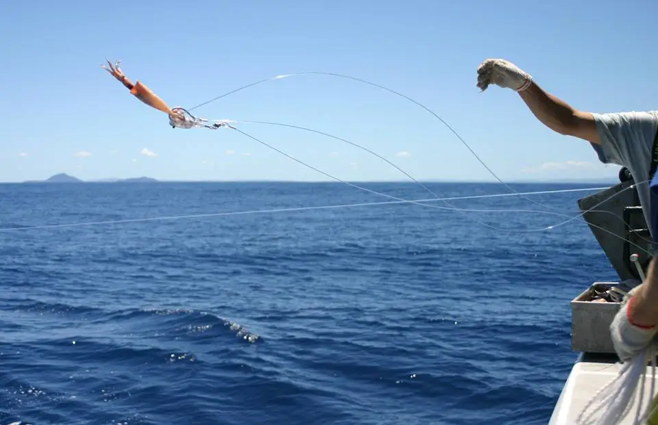 A Hookpod-equipped baited hook is deployed