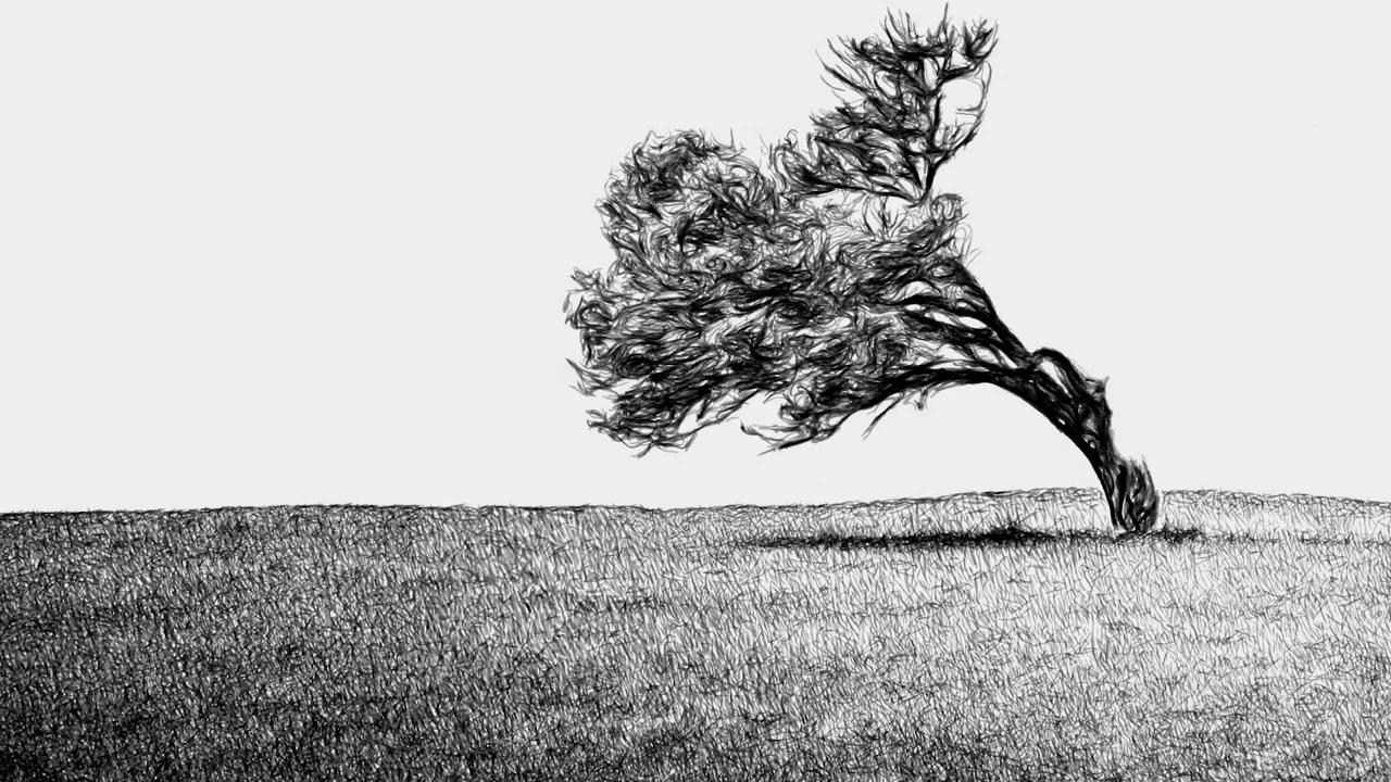 The same tree image sketched with pen and ink