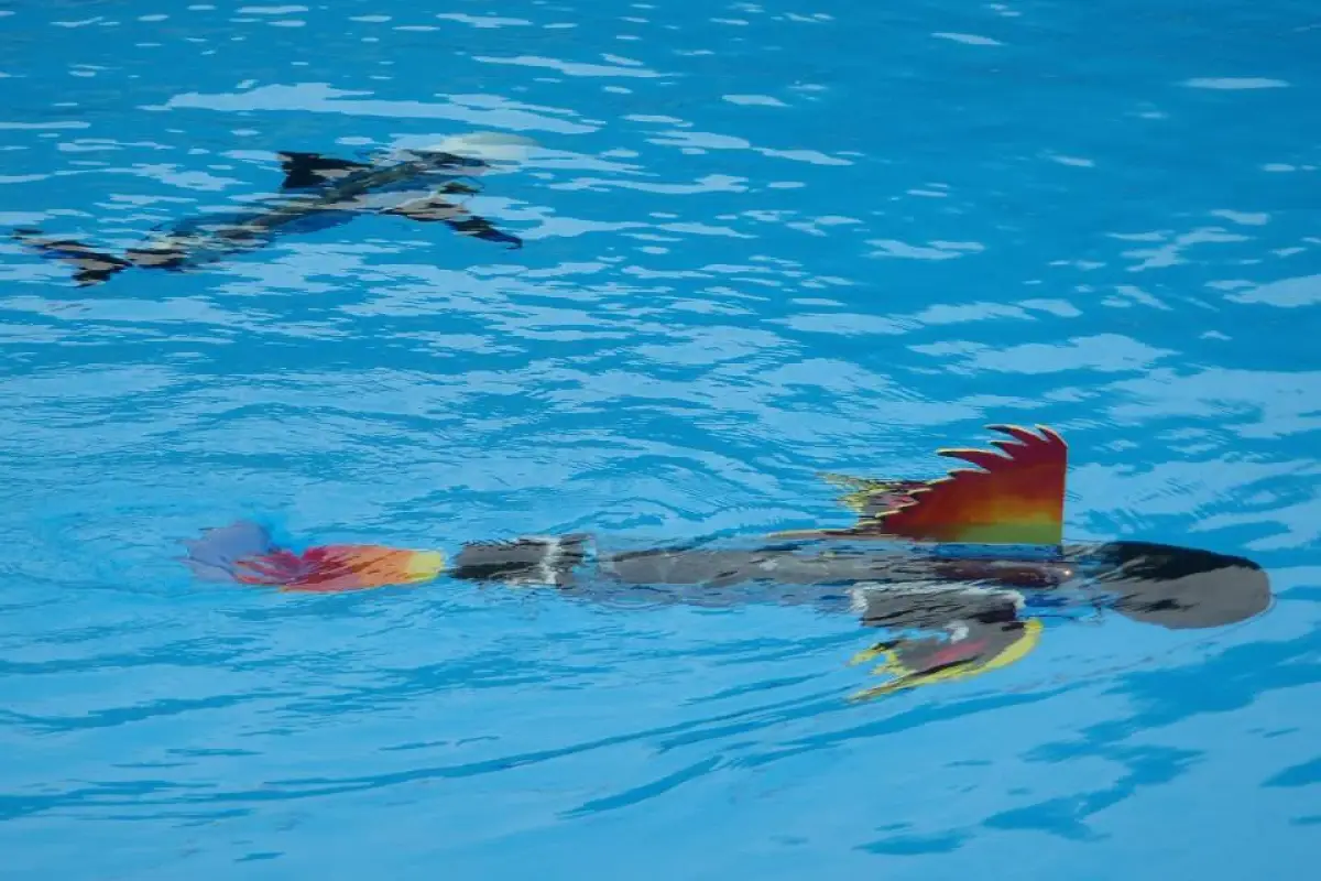Students are encouraged to design their own robot fish with the naro-nanin edutainment program (photo: naro - nautical robots)